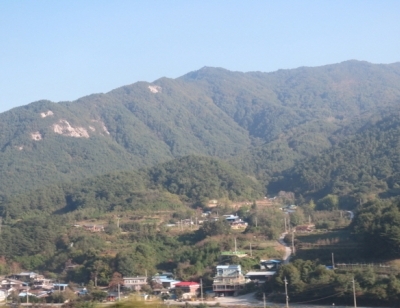 기사이미지