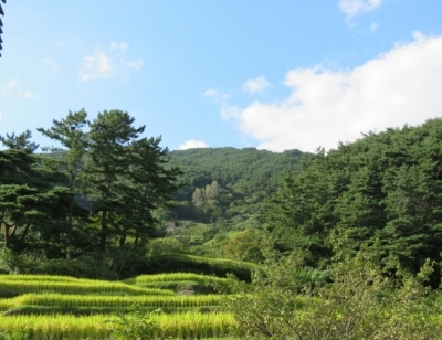 기사이미지